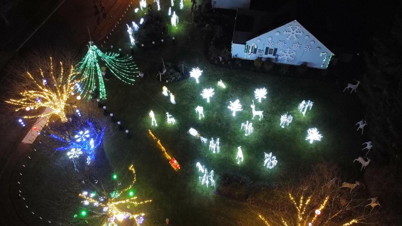 Overhead view of lit snowflakes, reindeer and a green light-strand tree on the lawn