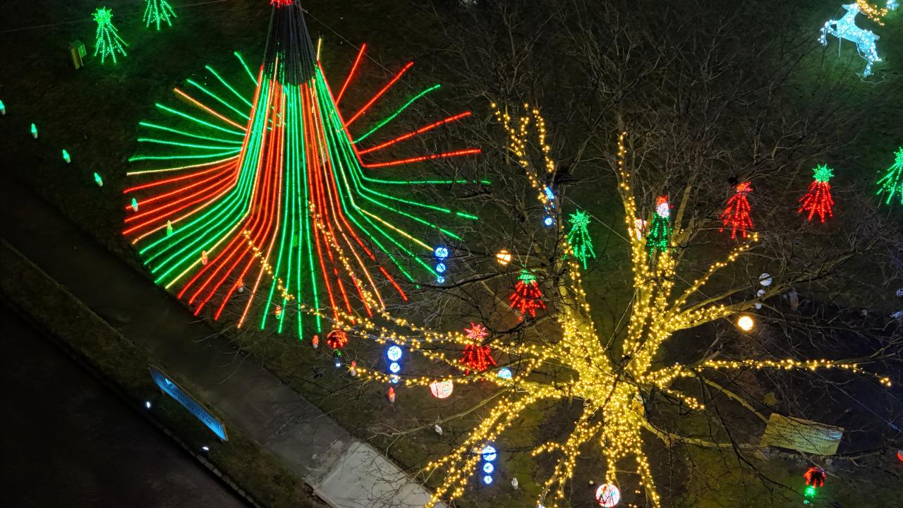 Looking down on a cone tree of red and green light strands beside a golden lit tree